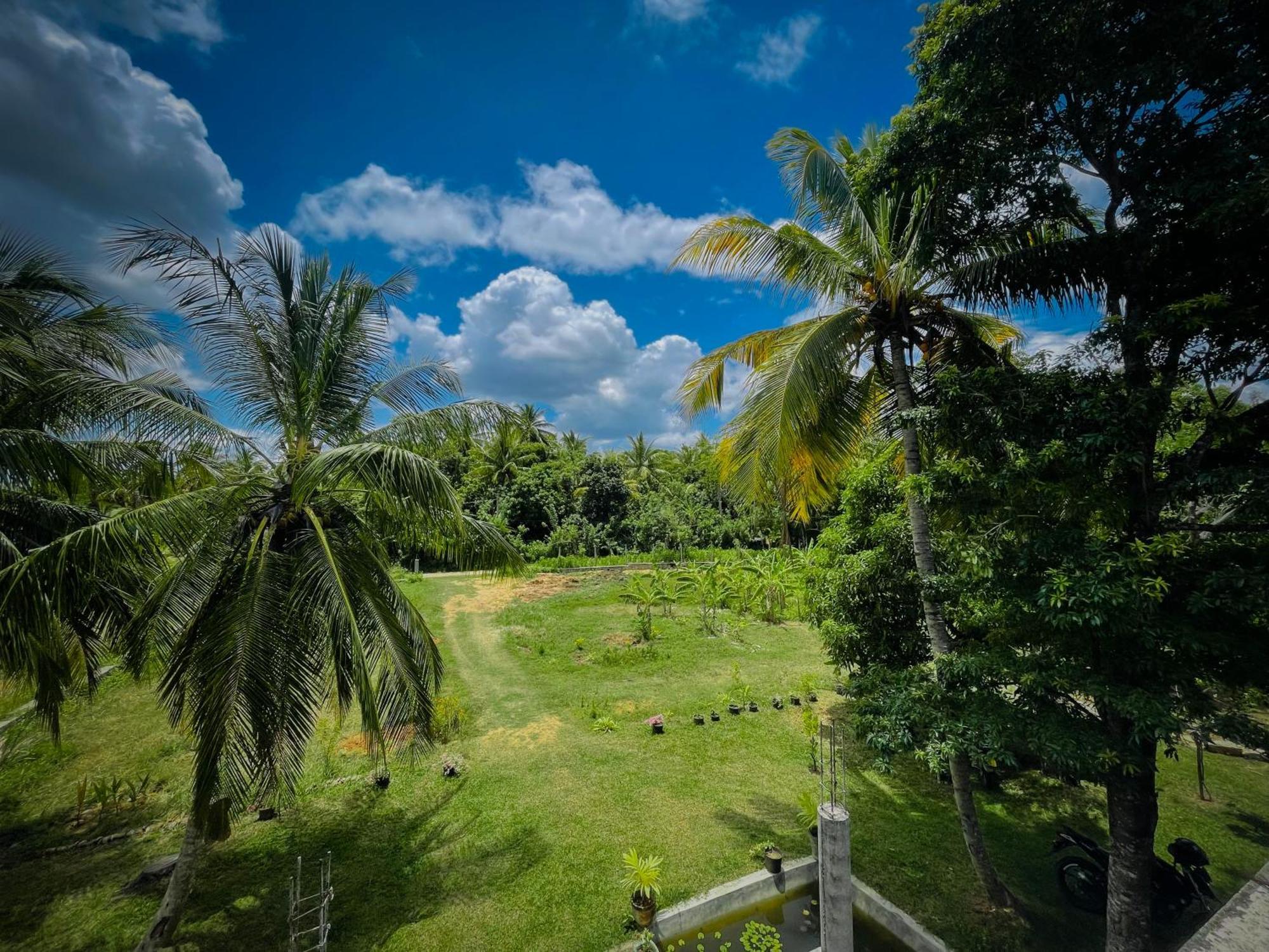 The Lotus Villa Sigirîya Extérieur photo
