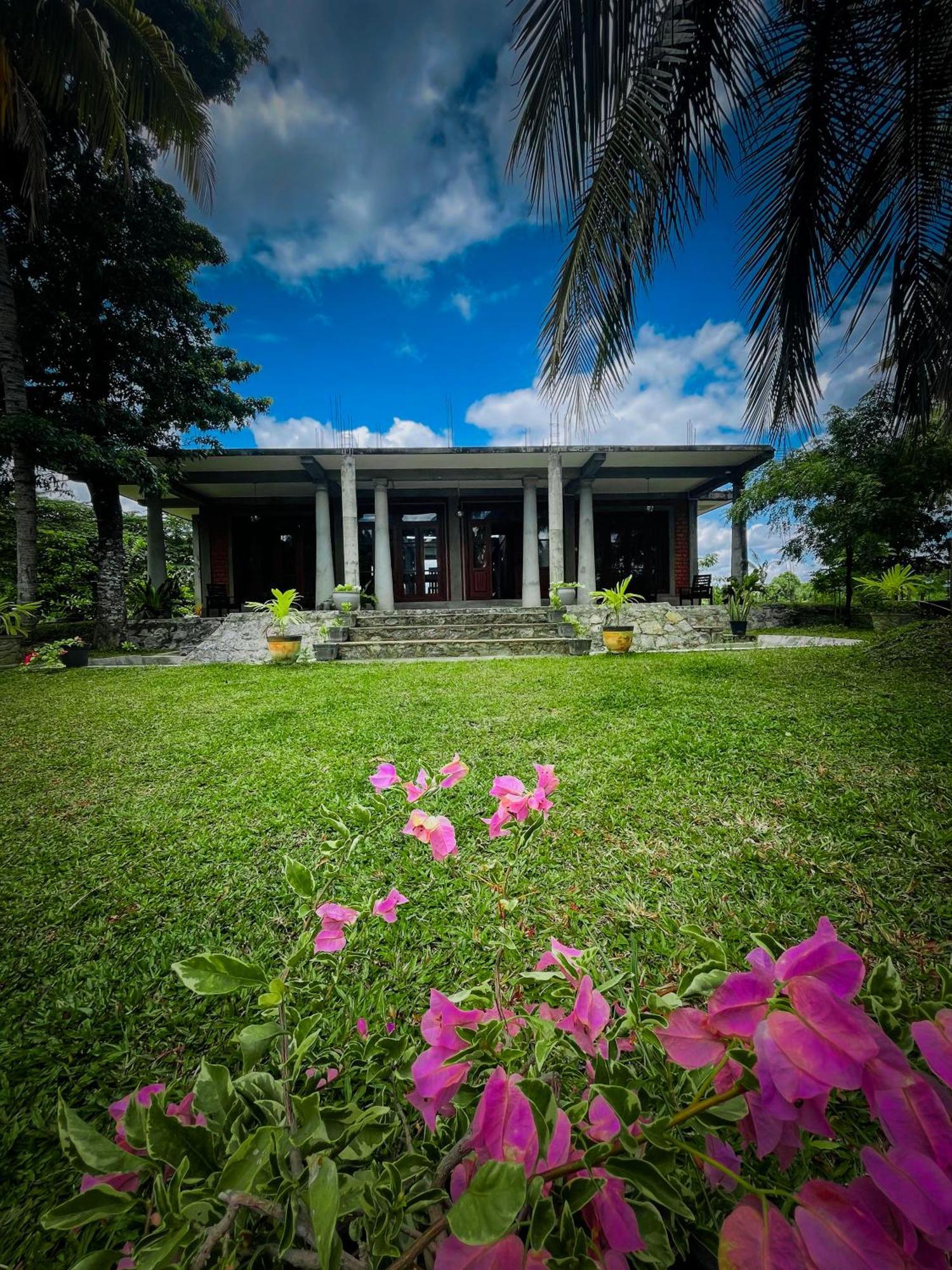 The Lotus Villa Sigirîya Extérieur photo