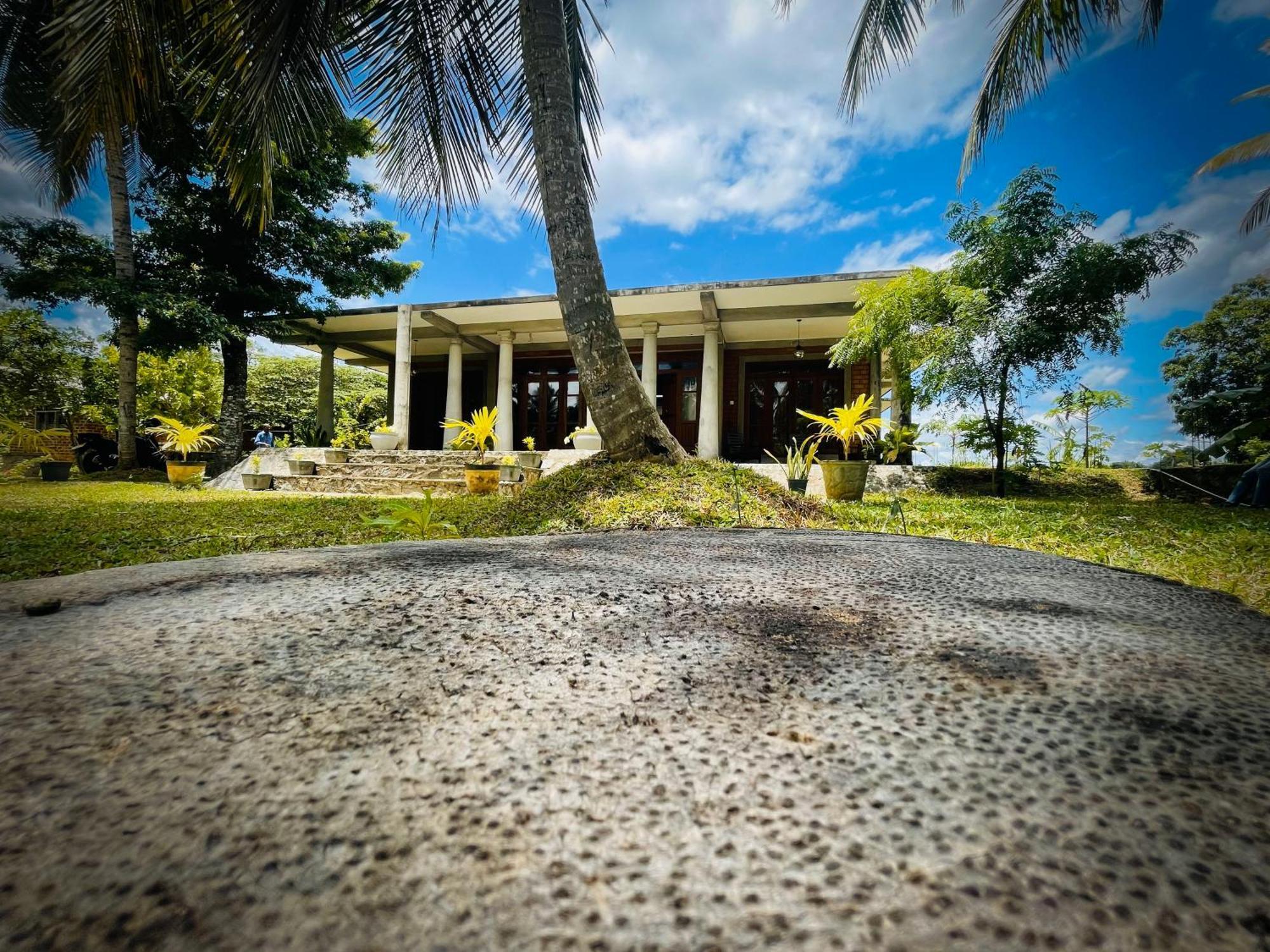The Lotus Villa Sigirîya Extérieur photo